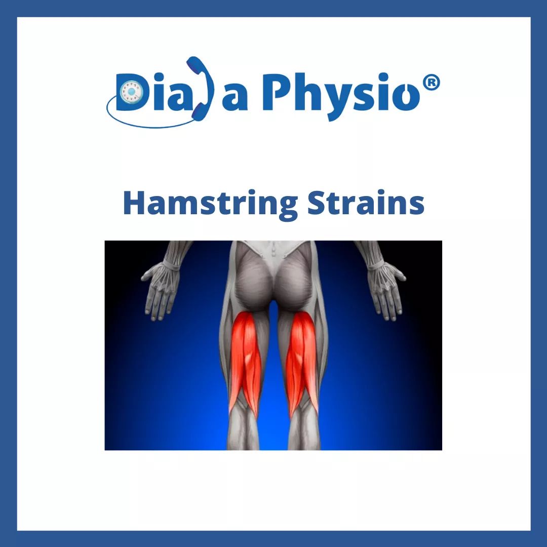 .facebook_1604416542111_6729410720245399798