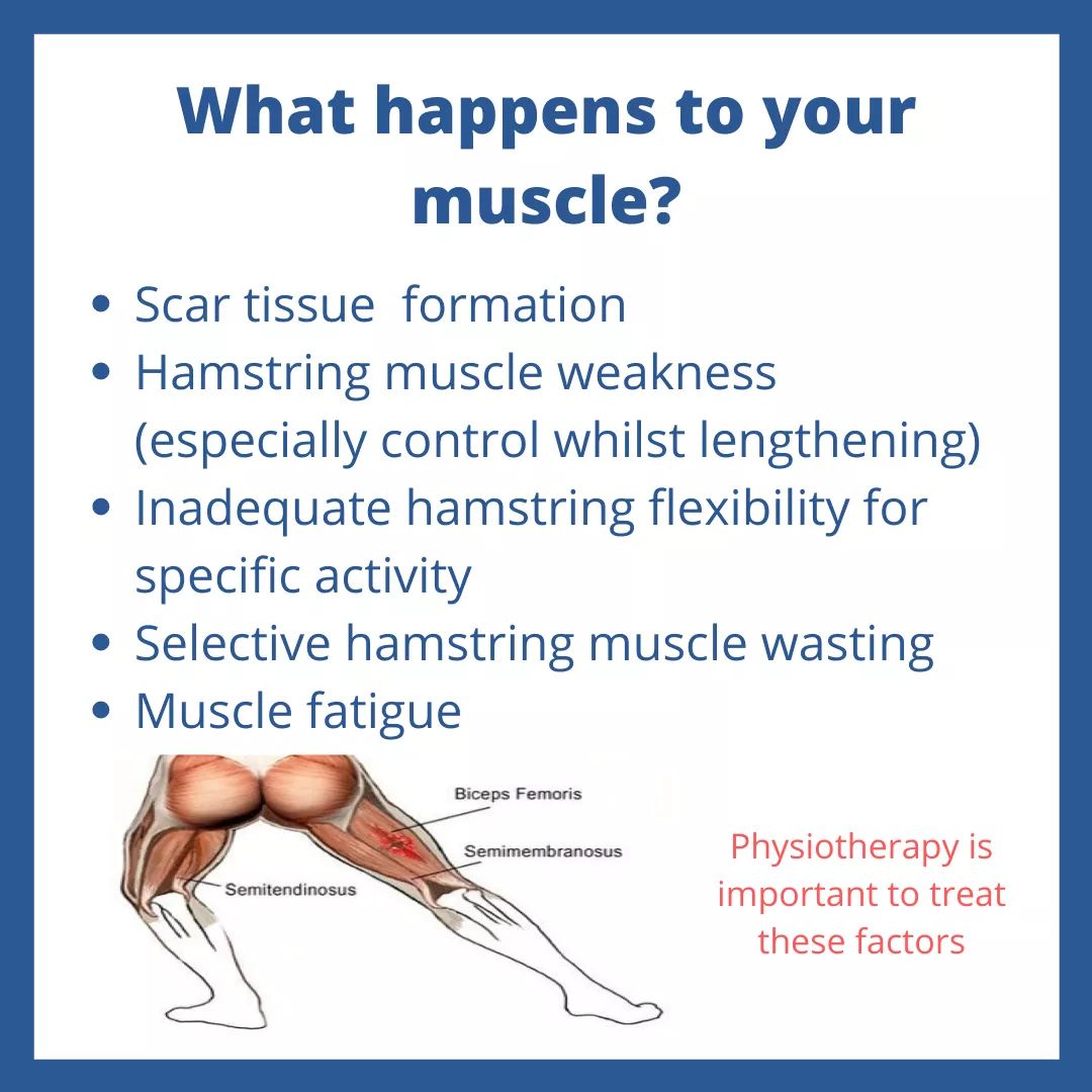 .facebook_1604416584439_6729410897780207042