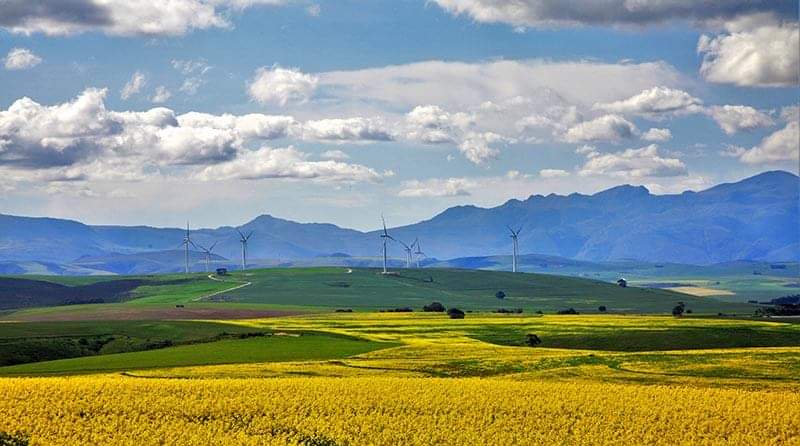 FB_IMG_1664789577872